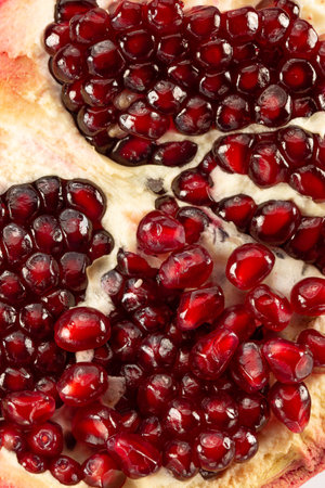 close up of pomegranate seeds.の写真素材