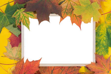 wooden photo frame surrounded by yellow autumn leaves. Space for text, isolated on white. Idea -...