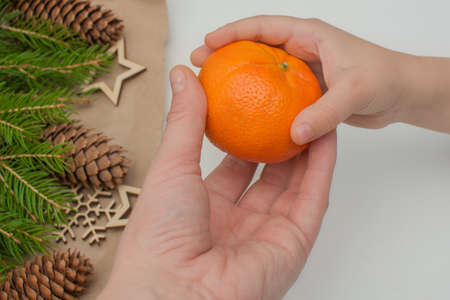 the hand of an adult gives a tangerine to a child on the background of fir branches. Close-up photo. Concept - waiting, cooking, Christmas and New Year, giving joy, waiting for a miracle.の写真素材