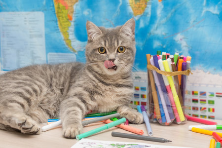 funny cat with protruding tongue and yellow eyes lies on the table, surrounded by felt-tip pens....