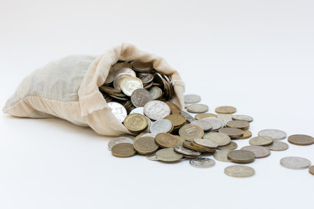 the bag of money fell, and many Russian coins fell out of it. The idea is misuse of the budget....