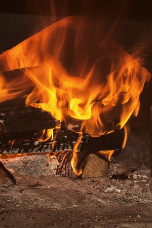 fire, orange tongues of flame close-up. Vertical photoの写真素材