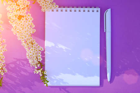On a bright purple background, illuminated by the sun's rays, there is a notepad and a white pen. Nearby is a flowering branch with white flowers. flat lay. Idea - layout, copy space, postcardの写真素材
