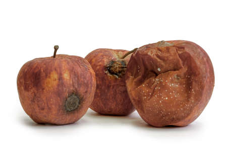 Three rotten apples on a white background. The bottom line is improper storage of fruits, spoiled foods, fruit diseases. Horizontal photo. Close-upの写真素材