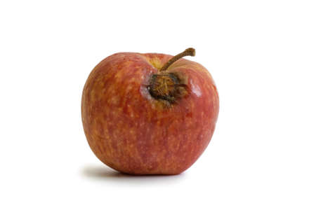 rotten apple on a white background. Horizontal photo, close-up. Spoiled fruit.の写真素材