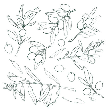 vector hand drawn elementsのイラスト素材