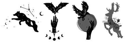 Hand drawn collection of celestial wild animalsのイラスト素材