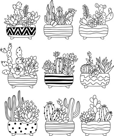 Cacti and succulents. Home plants hand drawn vector.のイラスト素材