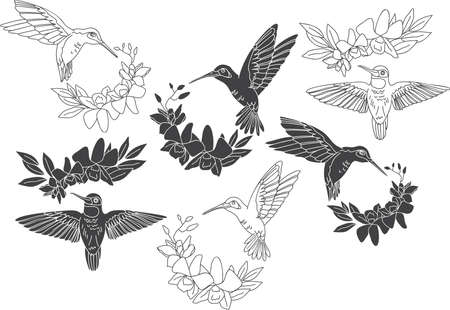 Vector Set of hummingbirds and orchid bouquetsのイラスト素材