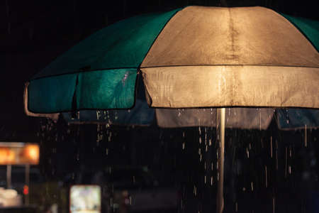 Umbrella の写真素材