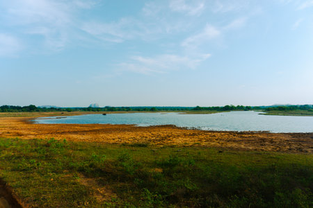Beautiful natural scenery of river in tropical green forestの写真素材