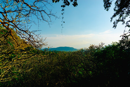 A birds-eye view of the lush rainforests of northern Sri-Lanka.