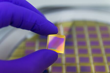 Hand in blue glove holding microchip photo sensor matrix . On the background is diced silicon wafer...