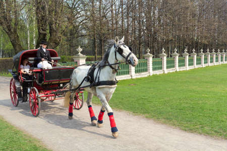 RUSSIA MOSCOW -24 April 2019 Coachman in cloak sits in coach with white horse and hold reins in...