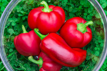 Sweet red peppers in a glass basket on green grass. Vegetables for vegans. The red sweet bell...