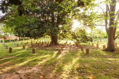 Military cemetery - gravestones in the backlight