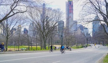 Two parts of the City - the skyscrapers and the greens on Central Park- MANHATTAN / NEW YORK - APRIL...