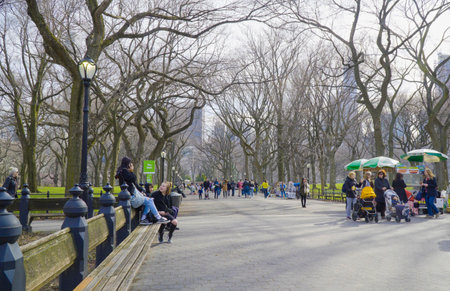 Benches invite to relax at Central Park New York- MANHATTAN / NEW YORK - APRIL 1, 2017のeditorial素材