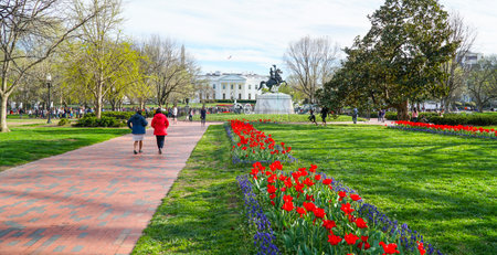 Beautiful Lafayette Square in Washington on a sunny day - WASHINGTON DC - COLUMBIA - APRIL 7, 2017のeditorial素材