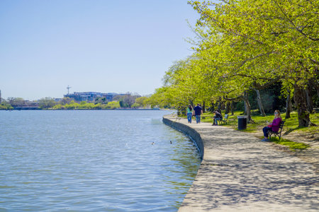 Walking around the Tidal Basin in Washington - WASHINGTON DC - COLUMBIA - APRIL 7, 2017のeditorial素材