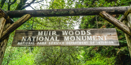 Muir Woods National Monument in San Francisco - MUIR -CALIFORNIA - APRIL 18, 2017のeditorial素材