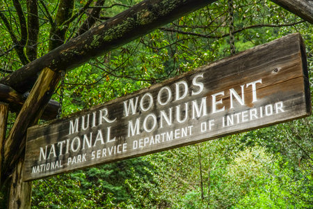 Muir Woods National Monument in San Francisco - MUIR -CALIFORNIA - APRIL 18, 2017のeditorial素材