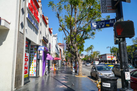 Hollywood Walk of Fame at Whitley Ave - LOS ANGELES - CALIFORNIA - APRIL 20, 2017のeditorial素材