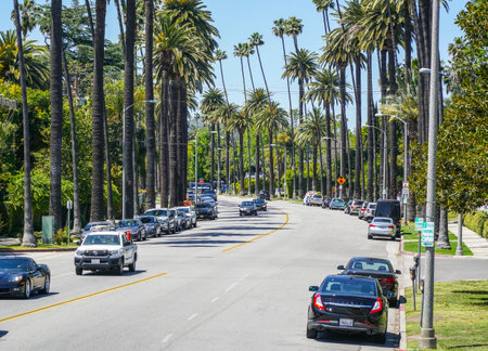 Beautiful street view with palm trees in Beverly Hills - LOS ANGELES - CALIFORNIA - APRIL 20, 2017のeditorial素材