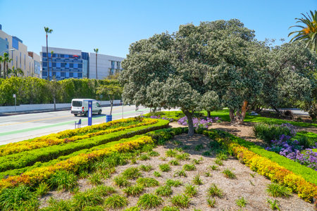 Beautiful street view in Santa Monica - LOS ANGELES - CALIFORNIA - APRIL 20, 2017