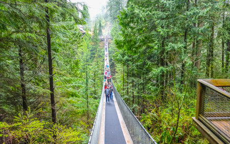 Famous Capilano Suspension Bridge in Canada - CAPILANO / CANADA - APRIL 12, 2017のeditorial素材