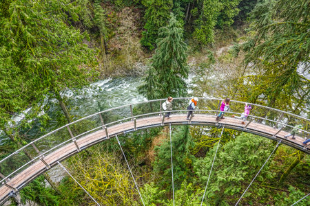 Wonderful Capilano Suspension Bridge Park in Canada - CAPILANO / CANADA - APRIL 12, 2017のeditorial素材