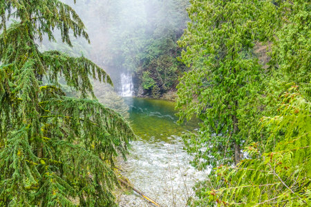 Wonderful Capilano Suspension Bridge Park in Canada - CAPILANO / CANADA - APRIL 12, 2017のeditorial素材