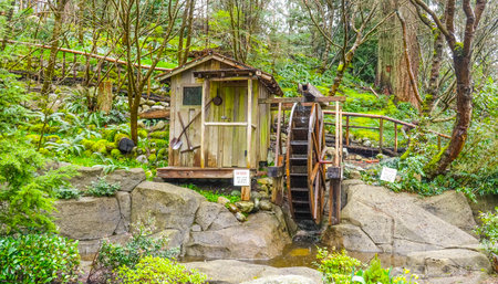 Walking trails throgh Capilano Bridge Park in the Canadian Woods - CAPILANO / CANADA - APRIL 12,...