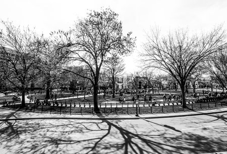 Dupond Circle in Washington - WASHINGTON DC / COLUMBIA - APRIL 7のeditorial素材