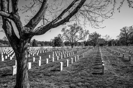 Famous Arlington Cemetery in Washington - WASHINGTON / DISTRICT OF COLUMBIA - APRIL 8, 2017のeditorial素材