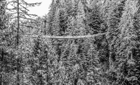 Famous Capilano Suspension Bridge in Canada - CAPILANO - CANADA - APRIL 12, 2017のeditorial素材