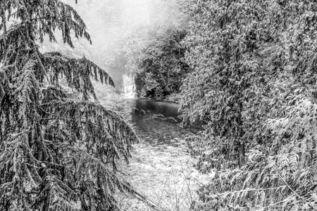 Wonderful Capilano Suspension Bridge Park in Canada - CAPILANO - CANADA - APRIL 12, 2017のeditorial素材