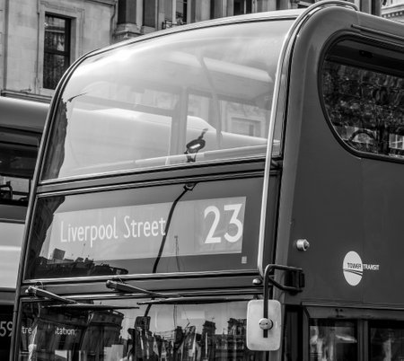 Red Buses in London - close up shot - LONDON / GREAT BRITAIN - SEPTEMBER 19, 2016のeditorial素材