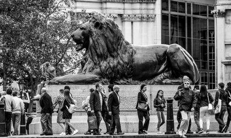 The lions at Trafalgar Square in London - popular place for tourists - LONDON / GREAT BRITAIN - SEPTEMBER 19, 2016のeditorial素材