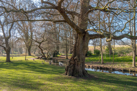 Beautiful gardens of Leeds Castle in England  - KENT, UNITED KINGDOM - FEBRUARY 27, 2019のeditorial素材