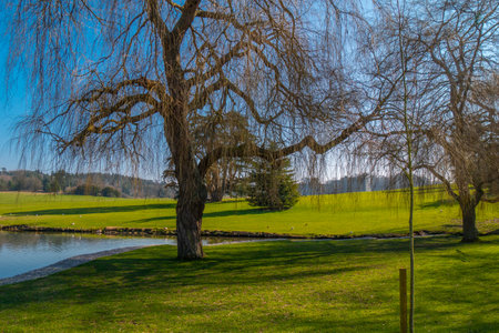 Beautiful gardens of Leeds Castle in England  - KENT, UNITED KINGDOM - FEBRUARY 27, 2019のeditorial素材
