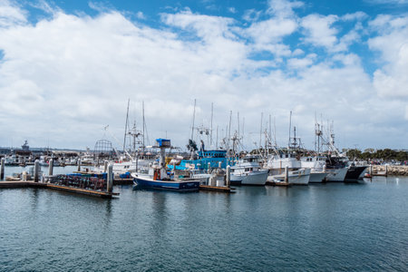 San Diego Marina harbor - CALIFORNIA, USA - MARCH 18, 2019のeditorial素材