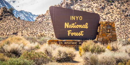 Inyo National Forest in the Sierra Nevada - BISHOP, USA - MARCH 29, 2019のeditorial素材