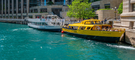 Water Taxi on Chicago River - CHICAGO, USA - JUNE 12, 2019