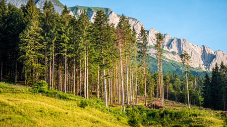 The typical landscape in the Swiss Alps - beautiful Switzerland - SWISS ALPS, SWITZERLAND - JULY 22, 2019のeditorial素材