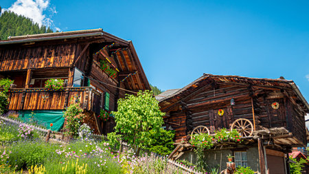 Typical Swiss houses in the village of Murren in the Swiss Alps - SWISS ALPS, SWITZERLAND - JULY 22, 2019のeditorial素材