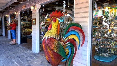 Colorful Havana style cock statue on Key West - KEY WEST, USA - APRIL 12, 2016のeditorial素材