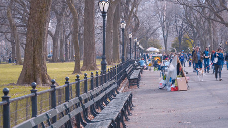 Benches at Central Park New York - beautiful place to relax - NEW YORK CITY, USA - APRIL 2, 2017のeditorial素材