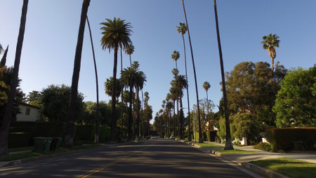 Alley of Palm Trees in Beverly Hills - LOS ANGELES, UNITED STATES - APRIL 21, 2017のeditorial素材
