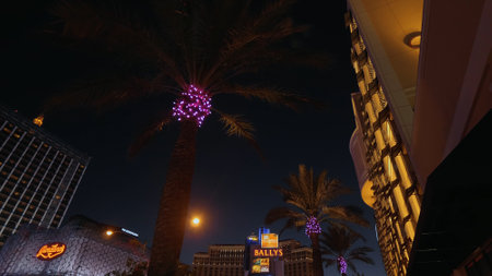 Palm trees at the Cromwell Hotel Las Vegas by night - LAS VEGAS-NEVADA, OCTOBER 11, 2017のeditorial素材